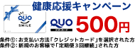 クレカ払いでQUO500円