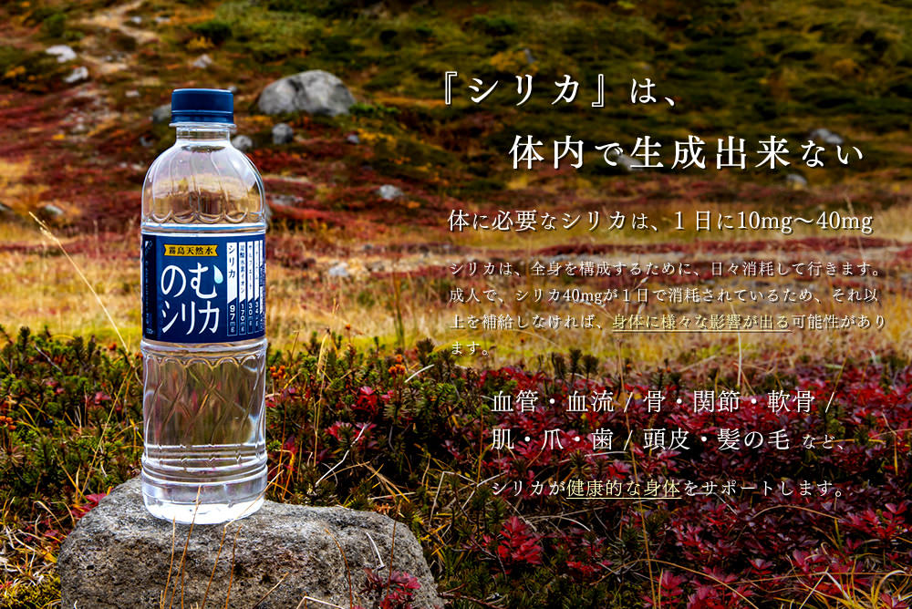 『シリカ』は、体内で生成出来ない