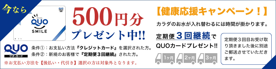 QUOカード500円プレゼント中